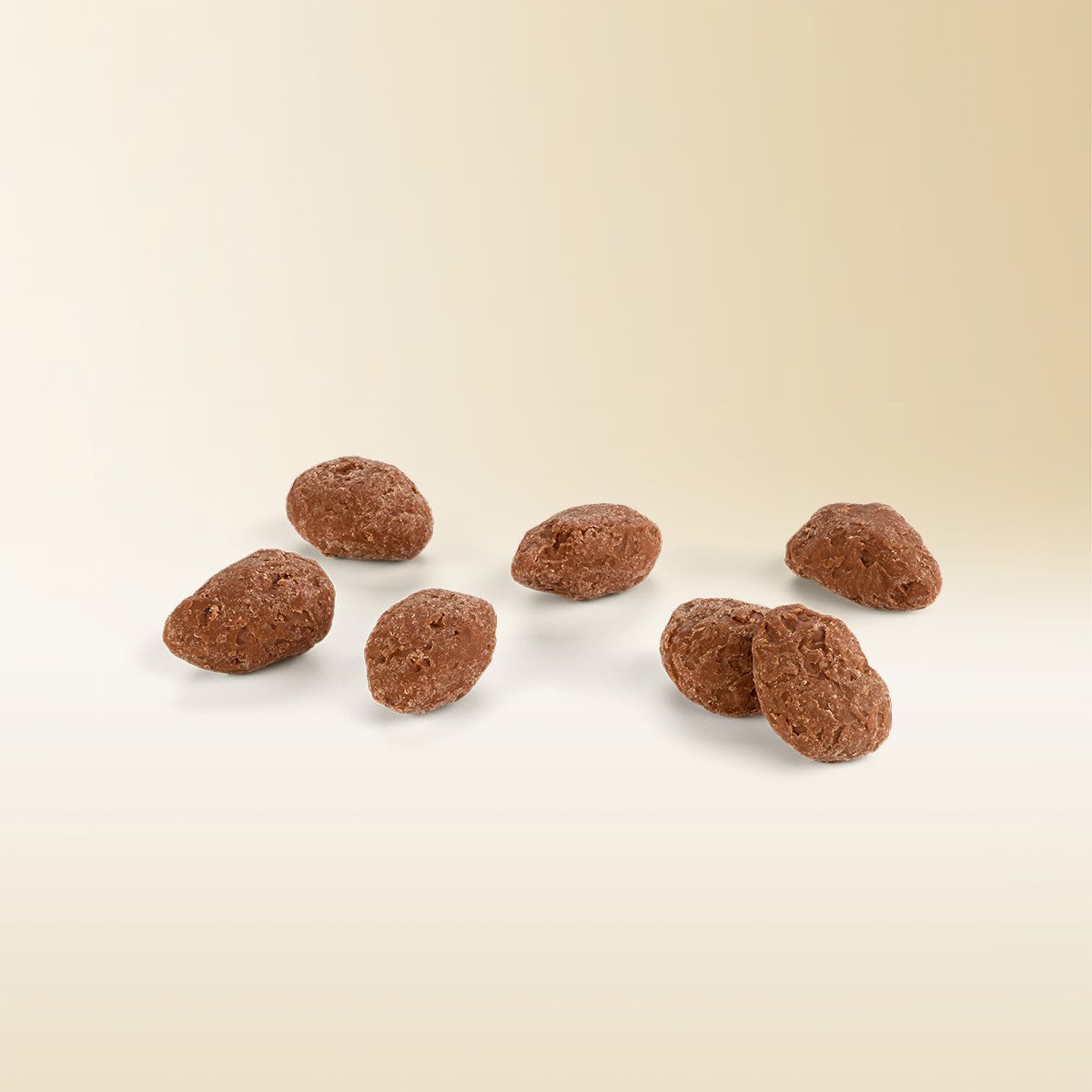 Chocolate-coated roasted almonds 150g